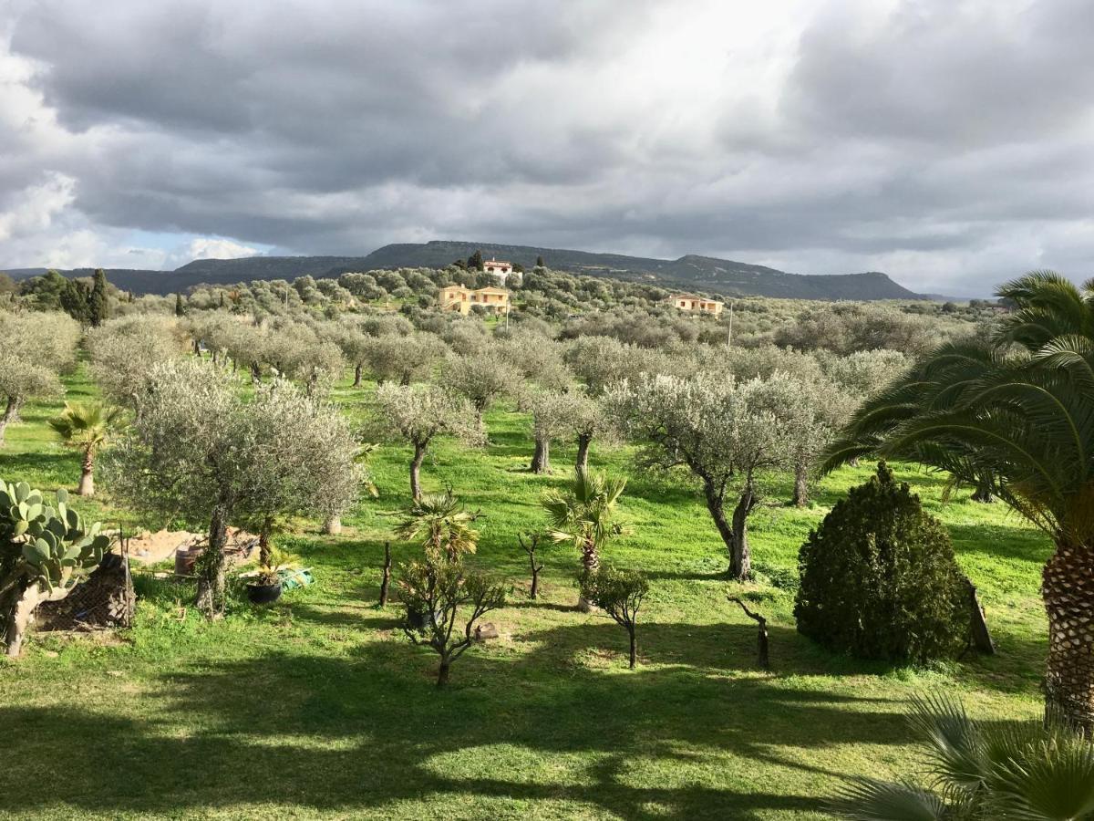 אלגהרו Villa Culla Di Jana מראה חיצוני תמונה