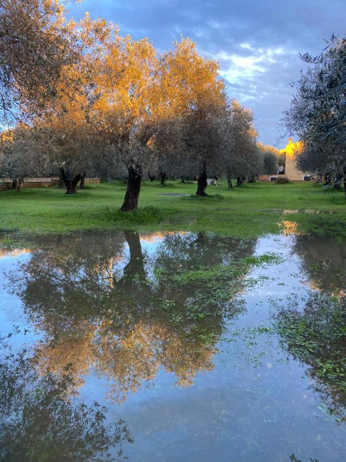 אלגהרו Villa Culla Di Jana מראה חיצוני תמונה